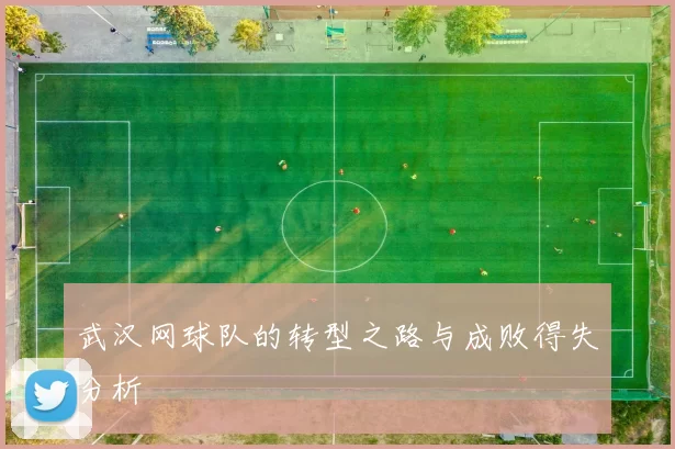 武汉网球队的转型之路与成败得失分析