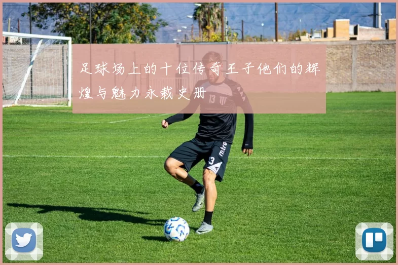 足球场上的十位传奇王子他们的辉煌与魅力永载史册