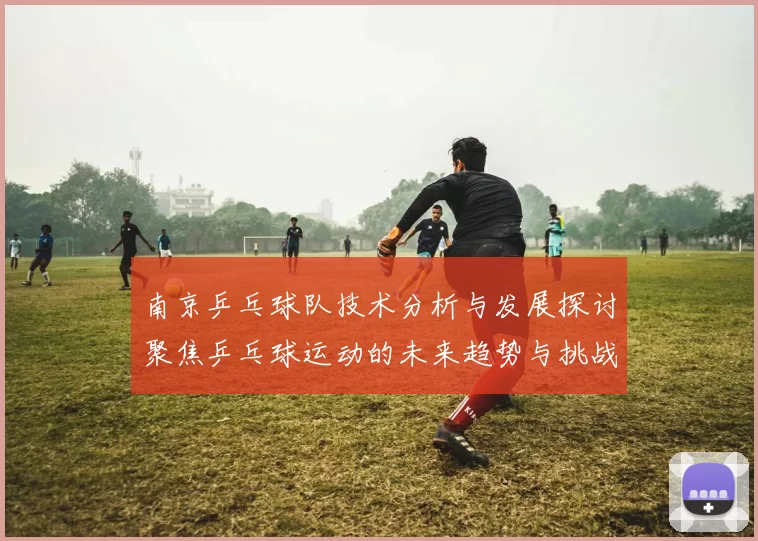 南京乒乓球队技术分析与发展探讨聚焦乒乓球运动的未来趋势与挑战