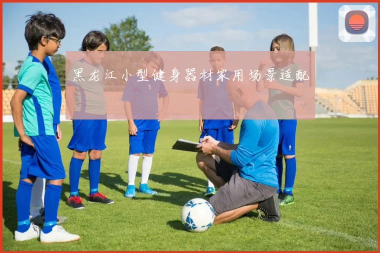 黑龙江小型健身器材家用场景适配