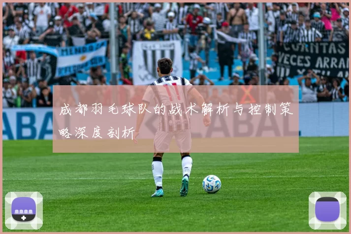 成都羽毛球队的战术解析与控制策略深度剖析