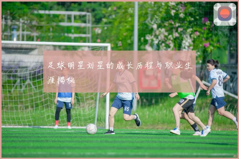 足球明星刘星的成长历程与职业生涯揭秘