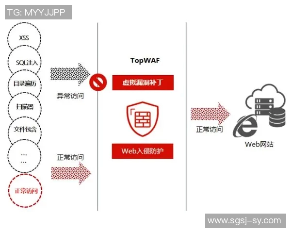 南京攀岩队的区域防守策略与技术深度解析