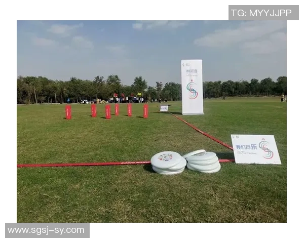 飞盘深度探索重庆飞盘队的战术转换与团队协作之道