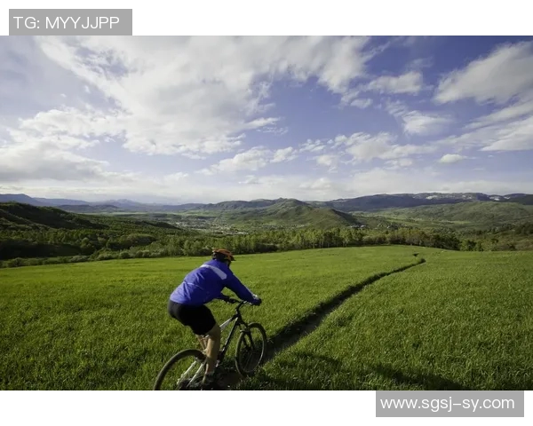 提升心肺功能与健康水平的有氧运动全方位指南