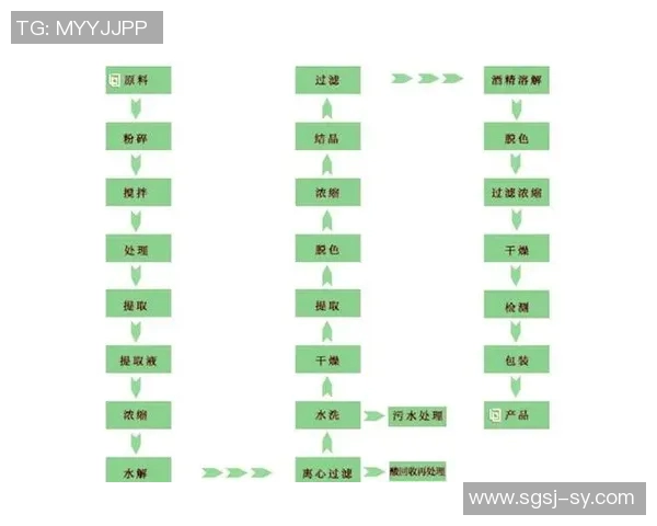 泳池清洁全面指南：保持水质清澈的有效方法与技巧