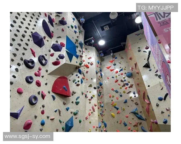 杭州攀岩队的成长之路极限运动嘉年华特别报道揭秘团队拼搏与梦想的故事