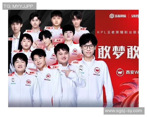 王者荣耀战术新解析TOP10WE战队表现抢眼引领潮流